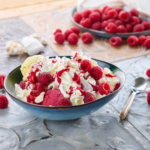 VACHERIN FRUITS ROUGES